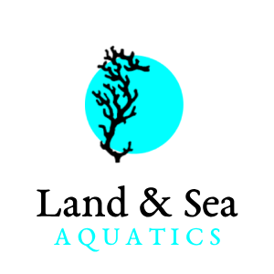 Saltwater Fish Sudbury