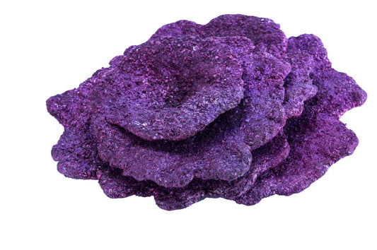 Real Reef Plate Corals (10 PCS per box) - 50lbs