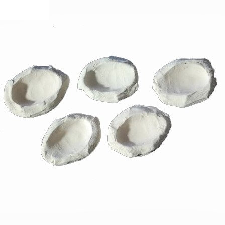 Clam Holders (per pcs)